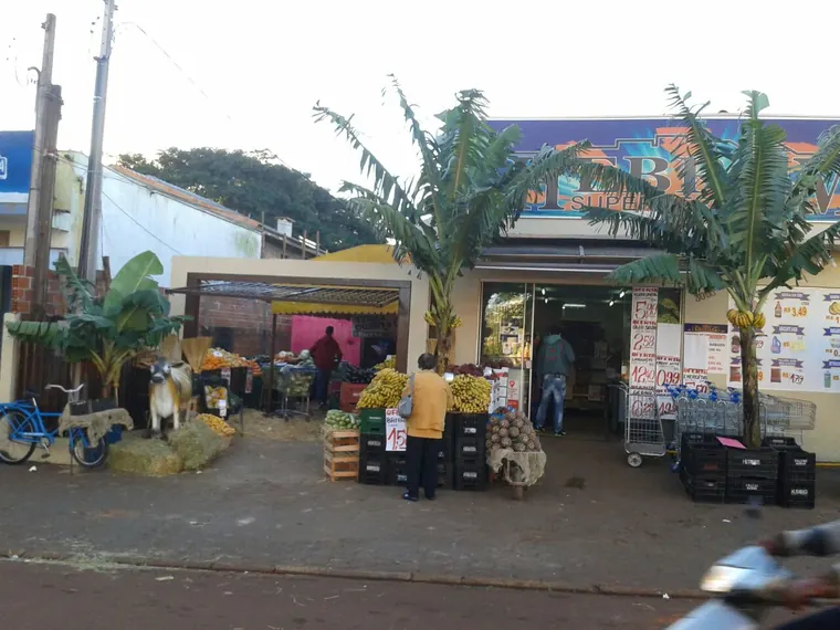 Entrada da loja, com bananeiras e caixas de fruta na calçada
